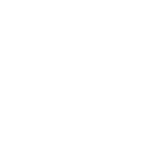 Vehicle Permit